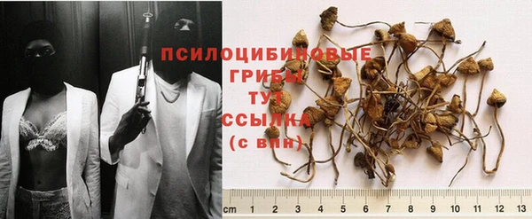 дживик Аркадак