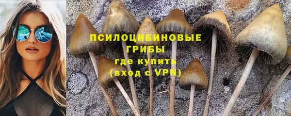 трава Армянск