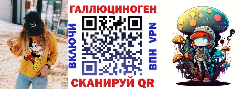 Псилоцибиновые грибы Psilocybe  Белая Холуница 